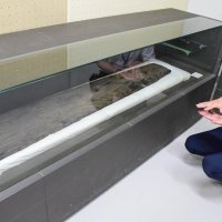 国府関遺跡から出土した琴。常設展示はしていない
