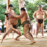 迫力の夏稽古始まる　東庄で出羽海部屋　１８日まで　１２日ファン感謝デー