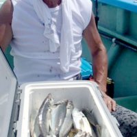 保田、アジ好調　木更津、シロギス食い良し　【今週の釣果】