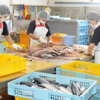味こだわる漁師の干物　ハワイアン満喫直売所　アルファ（いすみ市）　【ちばの元気企業】