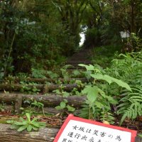 一部通行止めを伝える張り紙
