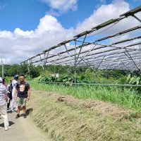 持続可能な農業学ぶ　留学生らインターンシップ　市原