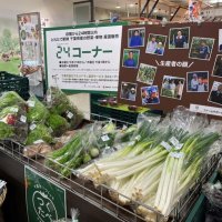 そごう千葉店で週に２回設置されている人気の「２４コーナー」
