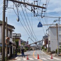 あす９日、房総半島台風５年　死者１２人、停電６４万軒超　過去最強千葉市風速５７メートル