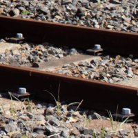 電車がイノシシと衝突　ＪＲ成田線で一部運休