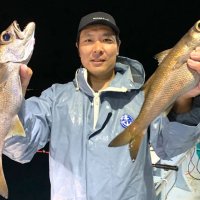 洲崎南沖で釣り上げたクロムツ（写真は「萬栄丸」提供）