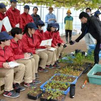「枝もの」定植学ぶ　大原高園芸系列が実習