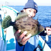 保田沖で釣り上げたカワハギ（写真は「村井丸」提供）