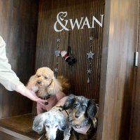 「＆ＷＡＮ」のロビーにはフォトスポットが用意され、撮影もできる