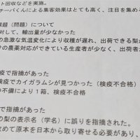 台湾への梨輸出苦戦　千葉県事業、トラブル相次ぎフェア縮小　検疫で害虫発見、果肉に障害…　「課題協議し改善」