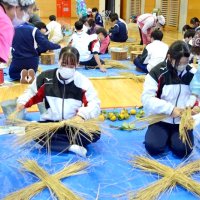 勝浦中生が刈った稲わらで正月飾り　郷育プロジェクト