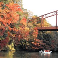【写真複数あり】房総やっと赤く染まる　紅葉の名所にぎわい　君津・市原・香取