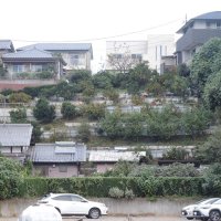 地権者の移転先示す　新松戸駅東側　区画整理事業で
