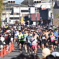 早春の房州路駆け抜ける　館山若潮マラソンに５０００人超