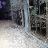 男性の遺体を車ごと燃やしたか、ベトナム国籍の４人再逮捕　大多喜