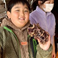 大きなキクラゲ取れた！　栽培拠点の廃校で収穫体験　館山・房南小児童