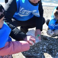 きれいな幕張の浜へ　ＮＴＴ東日本が清掃イベント