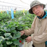 農業に最新ＩＴ技術駆使　さんたファーム（千葉市若葉区）　【輝く！千葉の企業　日本政策金融公庫レポート】（１２１）