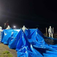 【速報】豚熱、千葉県内で初確認　旭の養豚場、５６８０頭殺処分へ