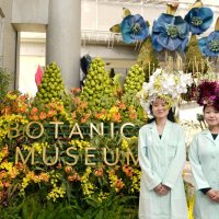 五感で植物の魅力体感　ＢＯＴＡＮＩＣＡ　ＭＵＳＥＵＭ　千葉市花の美術館がリニューアル