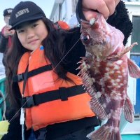  本牧カサゴ狙える　木更津、保田アジ食い順調　【今週の釣果】