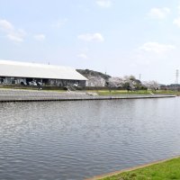 特性生かしにぎわいを　既成市街地の再活性化も　【八千代市の課題　５．１８市長選】