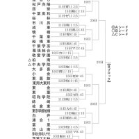Ｂブロック見どころ　専大松戸が中心に　第１０７回全国高校野球　千葉大会