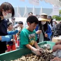 恒例のカツオ、アサリ人気　市原・五井臨海まつり