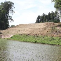 住民が土砂崩れを懸念しているのり面。目の前には田んぼが広がっている＝今月６日、千葉市若葉区中田町
