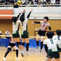 実力校の強さ見せる　バレーボール　千葉県高校総体