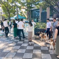 市民ら９０人でごみ１８キロ収集　千葉で「ひろ街」