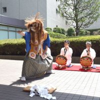 お囃子合わせ滑稽に　船橋　伝統「ばか面おどり」披露　「湊町八劔神社本祭り」先立ち　市役所、ゆかりの獅子頭紹介