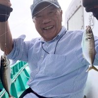 木更津沖で釣り上げたアジ（写真は「守山丸」提供）