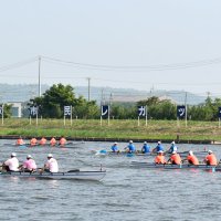 香取市民レガッタ　優勝目指し７７チーム力漕　４種目、新たにジュニアも