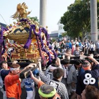 【動画あり】銚子・川口神社　海の街みこしで熱気　大漁、安全願い大潮祭