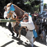 「神馬」石段を一気に　大漁、豊作を祈願　君津・人見神社