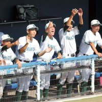 選手経験生かしサポート　若松の記録員・藍さん　第１０７回全国高校野球　千葉大会　第１１日