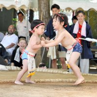 大声援力比べに境内活気　山車引き回し、踊り共演も　東庄「笹川相撲まつり」