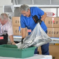 成田空港に到着したウナギをおけに出して確認する丸勝の西勝社長（左）ら＝１６日、成田市