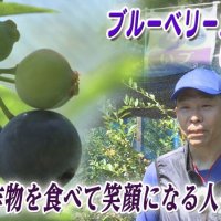 笑顔を育むブルーベリー園　元小学校教諭の新たな挑戦　気になるあの記事を「ツイセキ！！」　千葉日報×Ｊ：ＣＯＭコラボ第２３弾