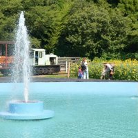 成田ゆめ牧場に今夏オープンしたじゃぶじゃぶ水広場
