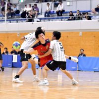 強豪校を前に散る　市川　ハンドボール男子　全国高校総体　第１２日