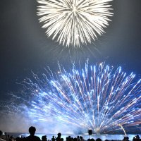 水郷の夜空　彩る８０００発　香取「おみがわ花火大会」