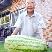 家庭菜園２５年、初の“大物”　「孫たちの反応楽しみ」　３０キロスイカ育てた宮本さん　香取