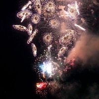 百花繚乱、華やか大輪　木更津　港まつり　花火大会