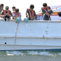 マダイの稚魚を放流する中学生ら＝１８日、いすみ市の大原漁港沖
