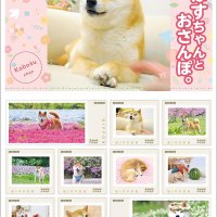 佐倉の「かぼす」切手に　世界一有名な柴犬　飼い主佐藤さん「胸いっぱい」　厳選１０枚、９月限定販売