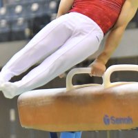 斎藤が個人総合Ｖ　女子は星野が頂点　体操　千葉県中学総体