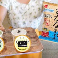 三番瀬産ノリでジェラート　「佃煮」「焼きのり」の２種　船橋市漁協　コノシロでスナック菓子も
