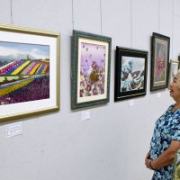 押し花に魅せられて　女性２５人が絵画作品披露　茂原
